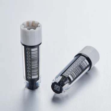 艾本德Eppendorf CryoStorage Vial，無(wú)菌, 無(wú)菌, 0.5 mL, 不含 DNase、RNase、人類(lèi) DNA 和內(nèi)毒素；外螺紋，預(yù)先加蓋灰色管蓋，帶 2D SafeCode 