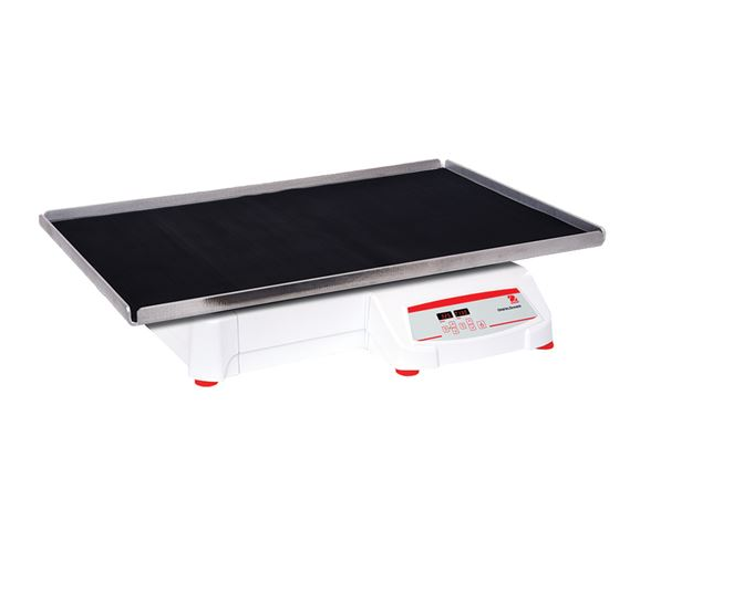 美國奧豪斯，OHAUS，脫色搖床，回旋振蕩器，圓周振蕩器，大負(fù)載圓周式搖床，SHHD6850DG